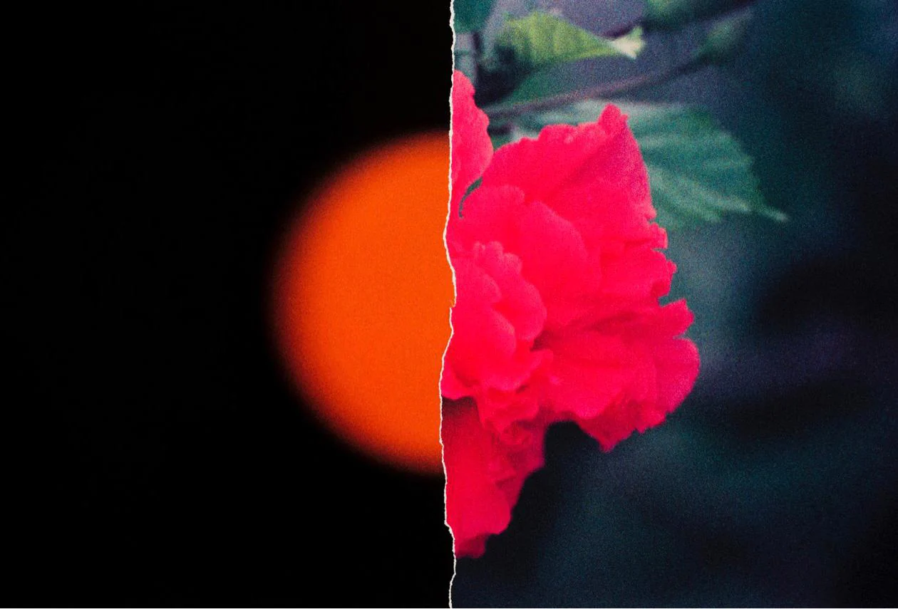 21° N 87° W SUN/FLOWER #1