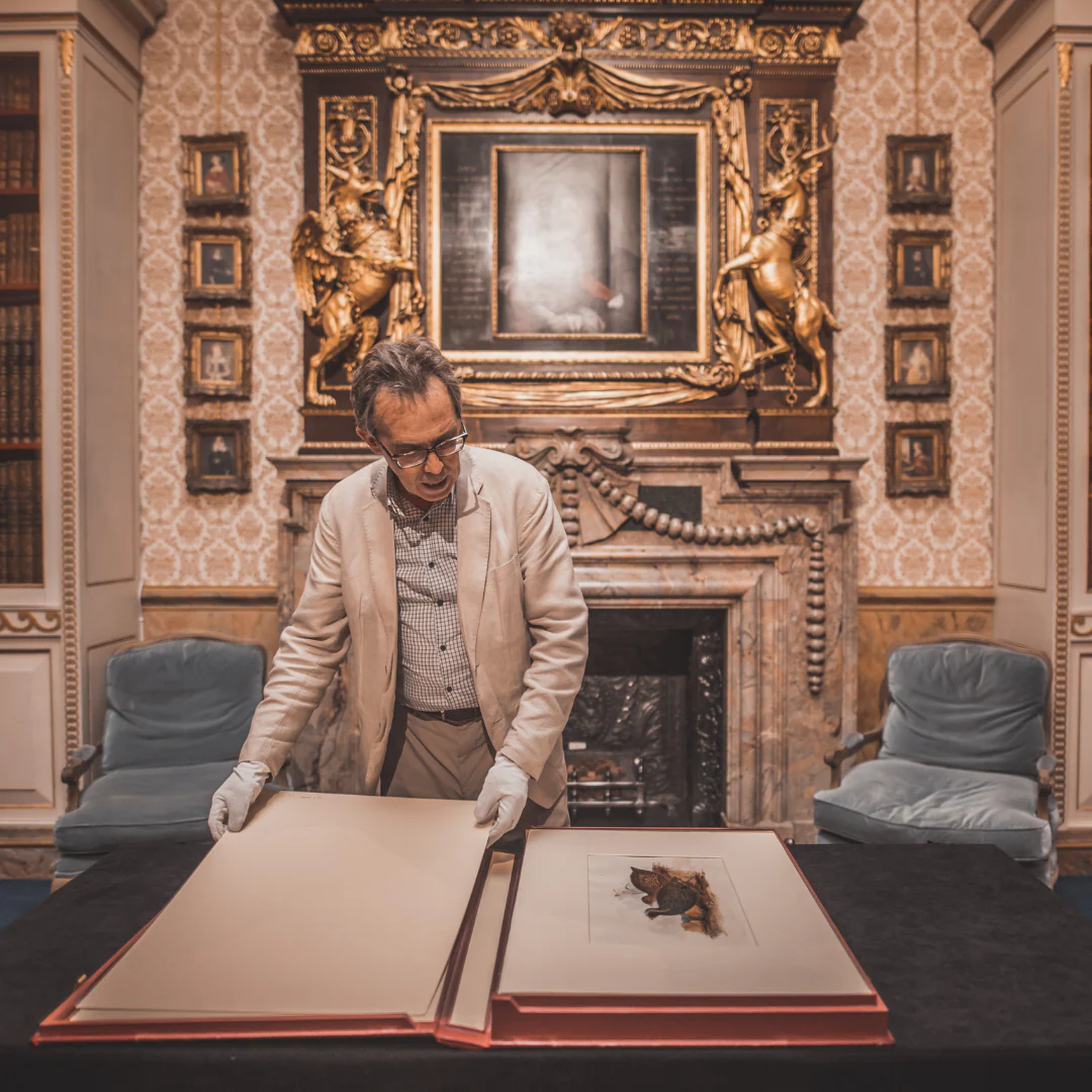 A Week at Knowsley Hall - Image 4