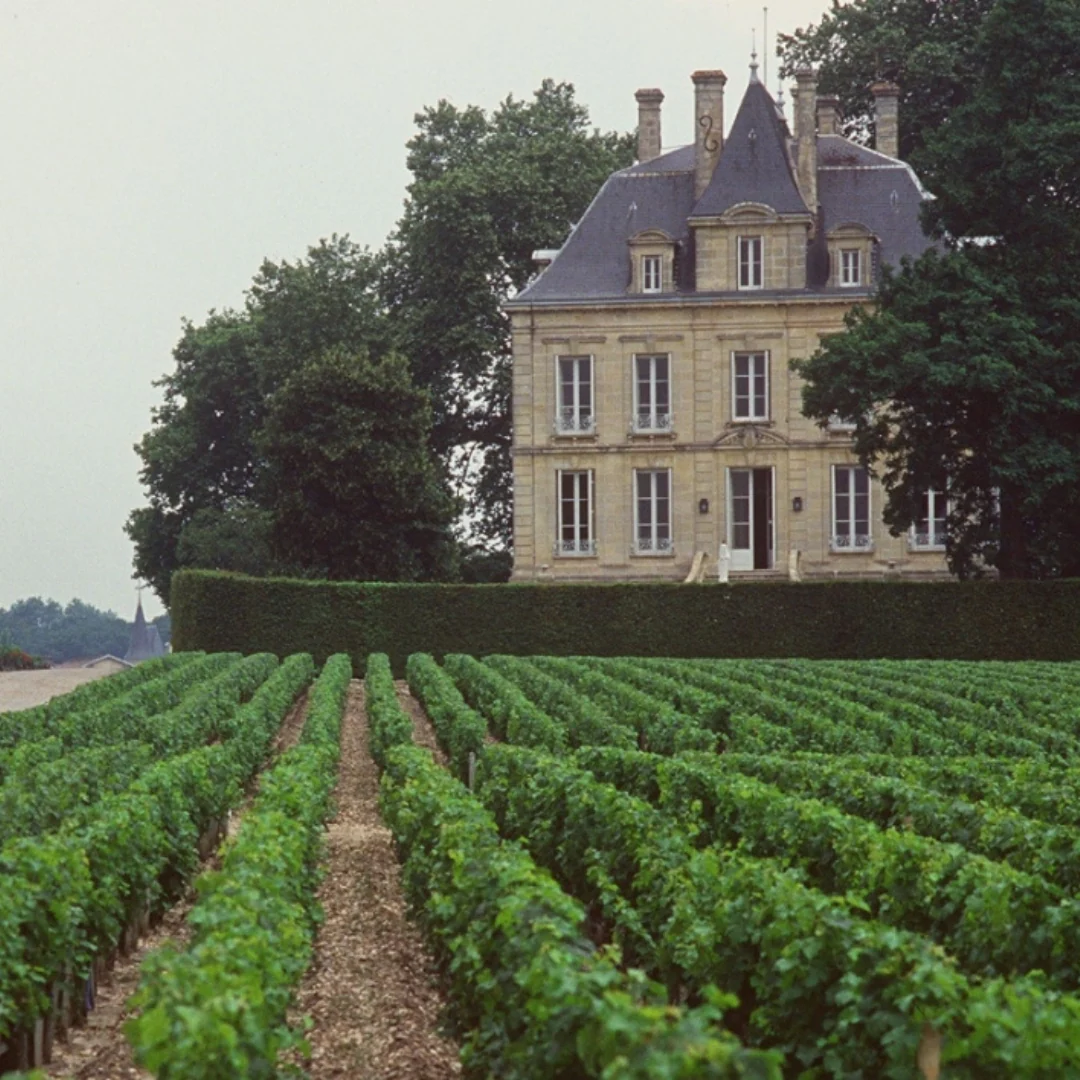 Château Latour 2010 - Image 2