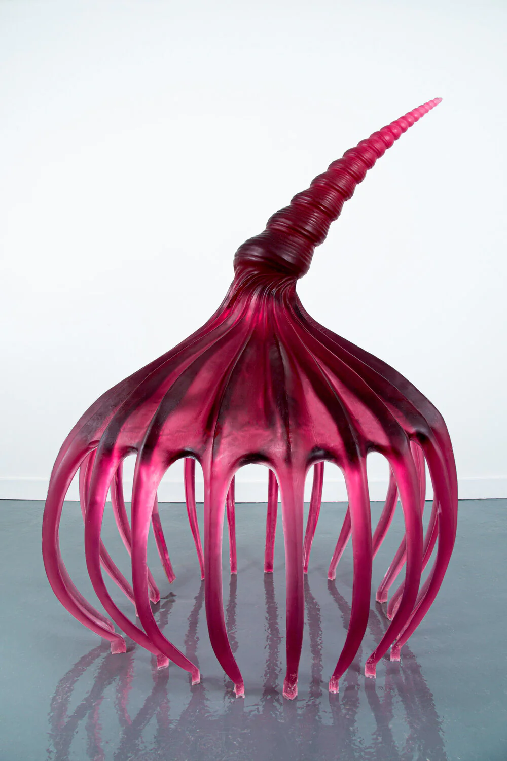Crown of Creation Petite - Image 6