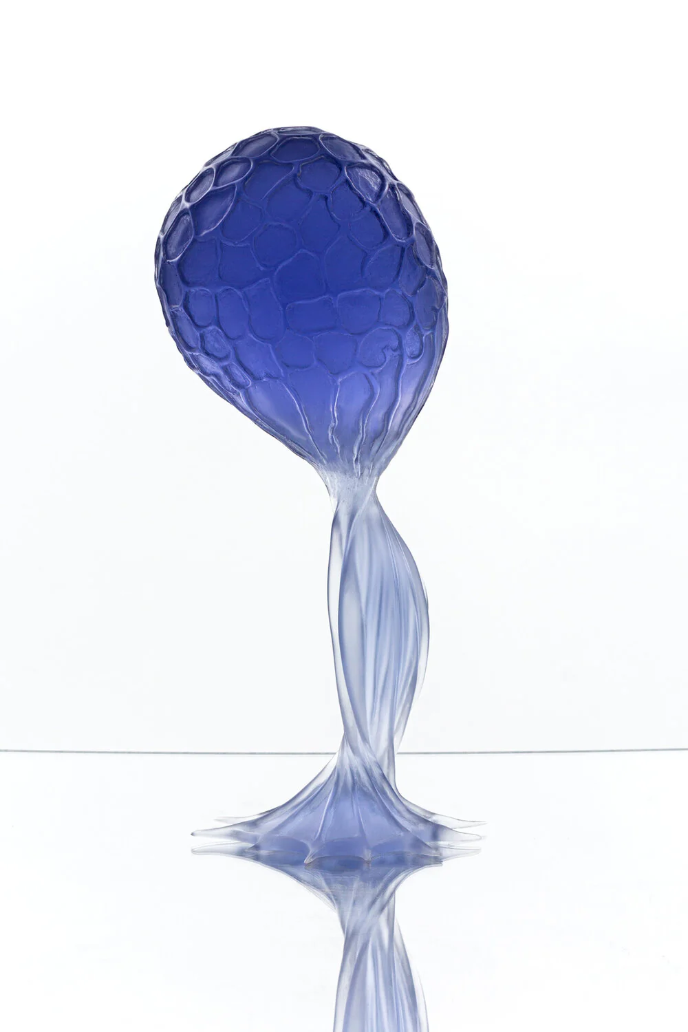 Molly Bloom Petite - Image 6