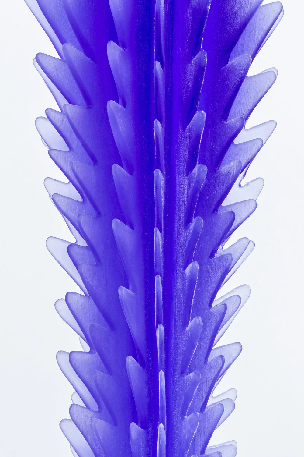 Pearl - Image 3
