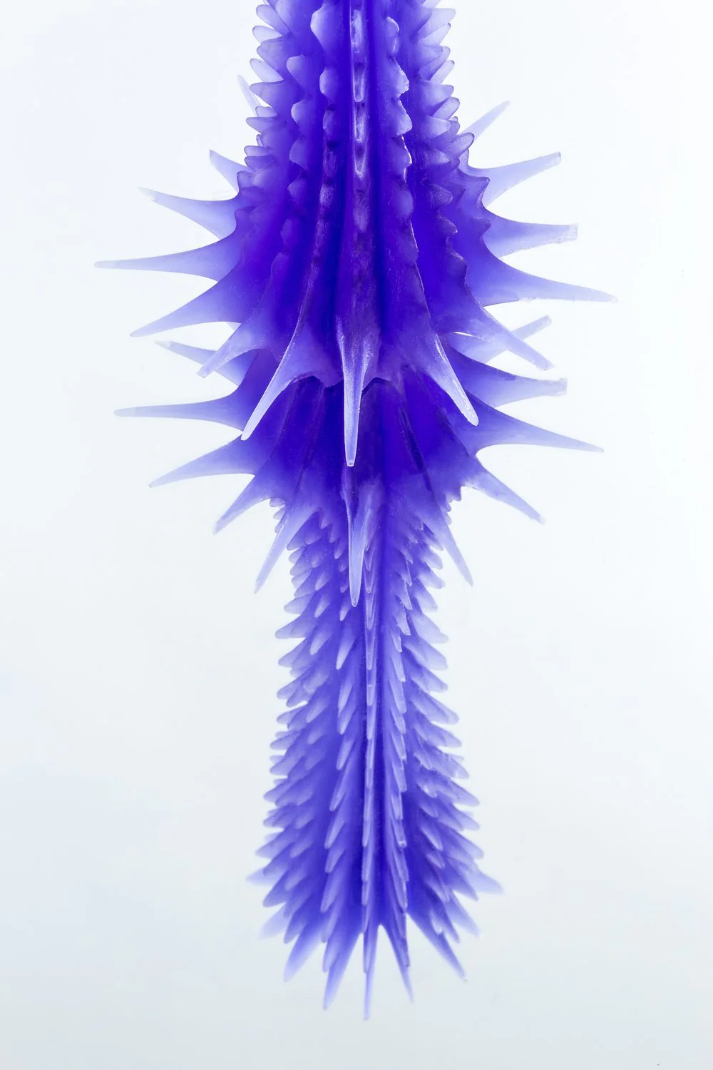 Pearl - Image 4