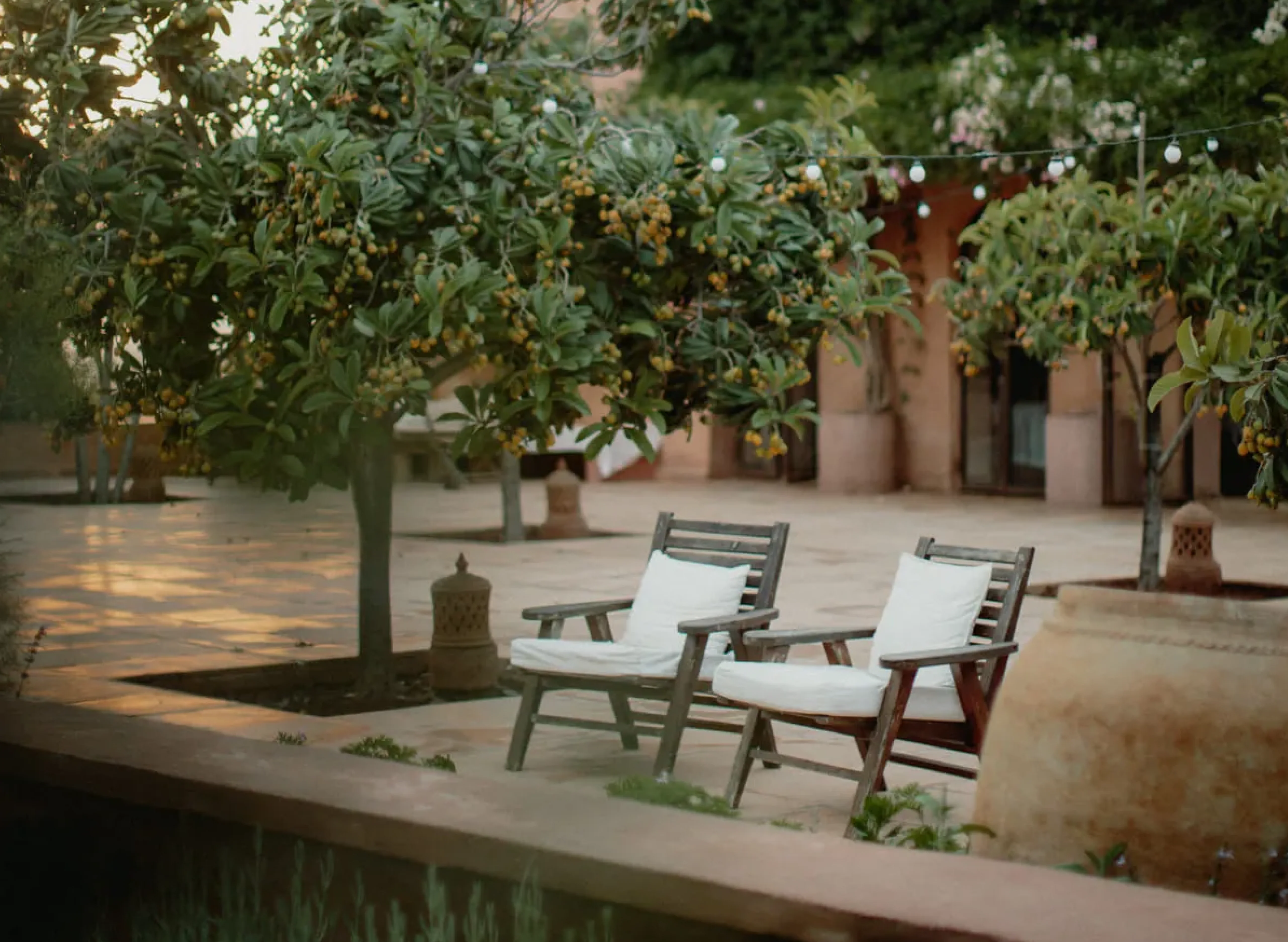 Becoming Annual Wellness Concierge Membership - Image 5