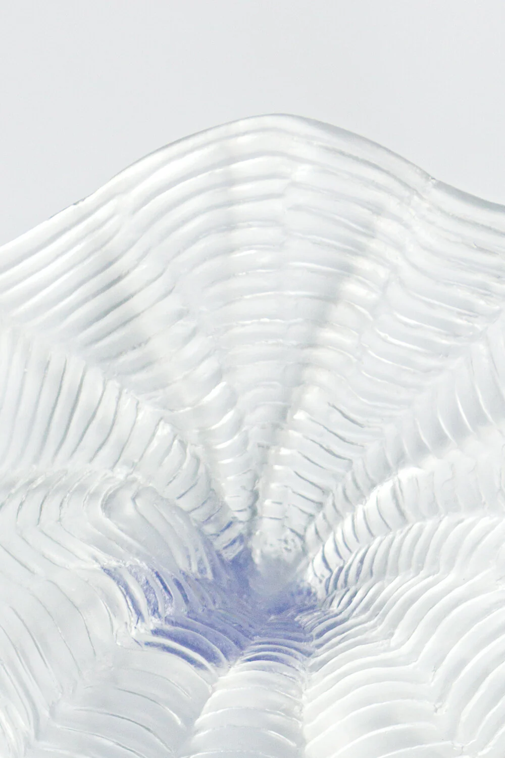 Wildflower - Image 4